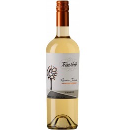 Вино TerraNoble, "Reserva Terroir" Sauvignon Blanc, 2015