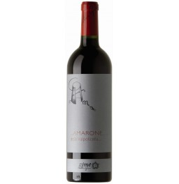 Вино Zyme, Amarone della Valpolicella Classico DOC, 2009