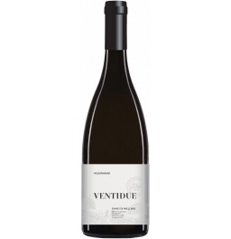 Вино Villa Raiano, "Ventidue" Fiano di Avellino DOCG, 2016
