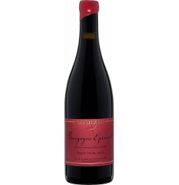 Вино Domaine Garnier &amp; Fils, Bourgogne Epineuil AOP, 2017
