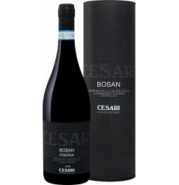 Вино Gerardo Cesari, "Bosan" Amarone della Valpolicella Classico Riserva DOC, 2009, in tube