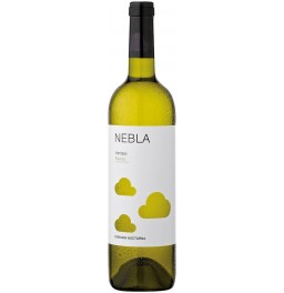 Вино Vicente Gandia, "Nebla", Rueda DO