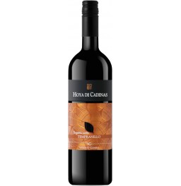 Вино Vicente Gandia, "Hoya de Cadenas" Organic Tempranillo