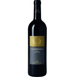 Вино Hans Rottensteiner, Blauburgunder "Select" Riserva, Alto Adige DOC, 2014