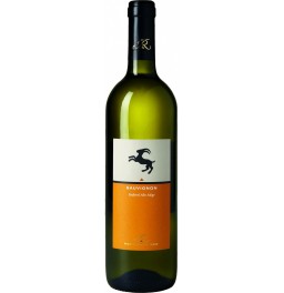 Вино Hans Rottensteiner, Sauvignon, Alto Adige DOC, 2016