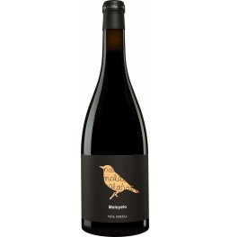 Вино "Vina Zorzal" Malayeto, Navarra DO, 2015