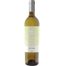 Вино Castellani, "Oynos" Pinot Grigio Biologico
