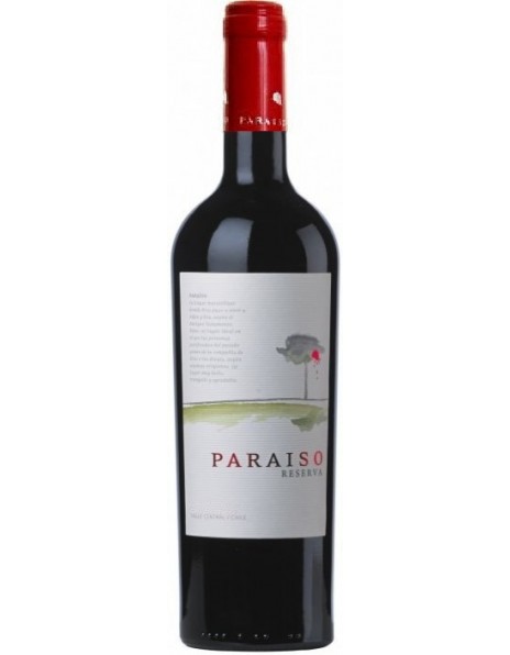 Вино Bodegas y Vinedos de Aguirre, "Paraiso" Syrah Reserva