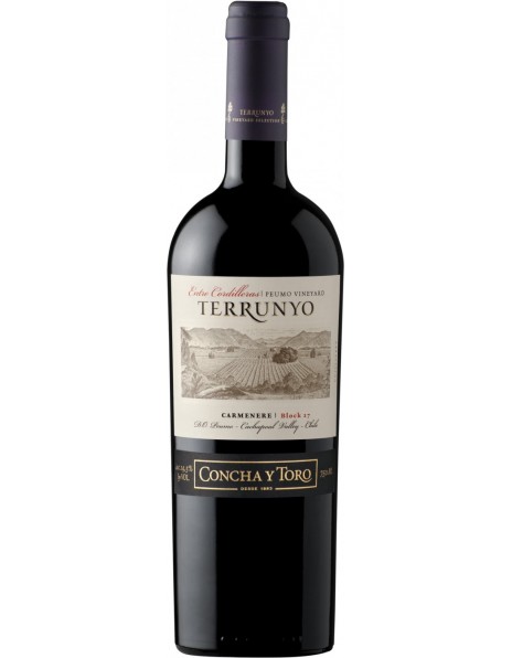 Вино Concha y Toro, "Terrunyo" Carmenere