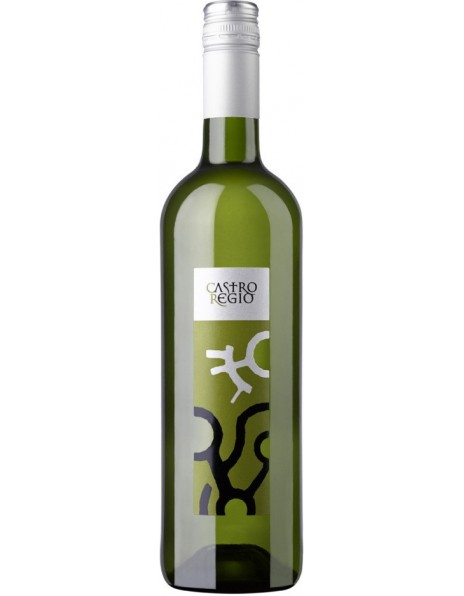 Вино "Castro Regio" White Dry
