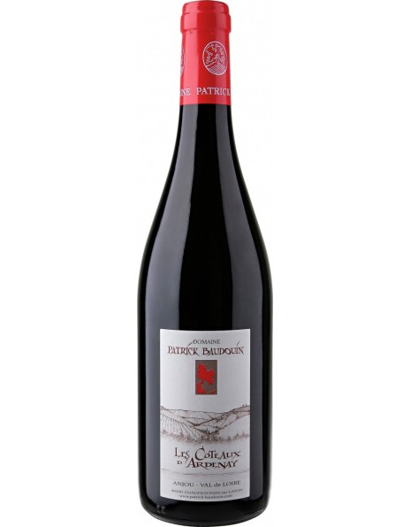 Вино Domaine Patrick Baudouin, "Les Coteaux d'Ardenay", Anjou AOC, 2015