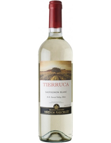 Вино "Tierruca" Sauvignon Blanc, Curico Valley DO